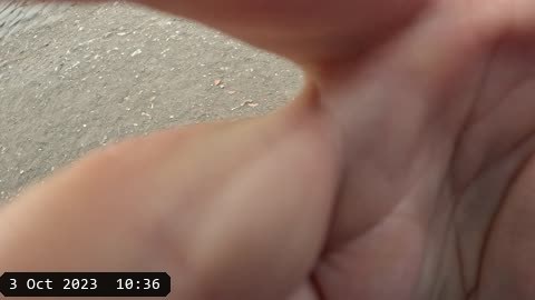 GX010163.MP4