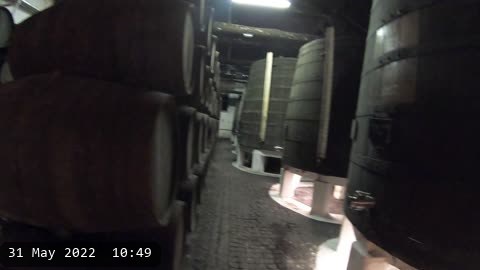GX011275.MP4