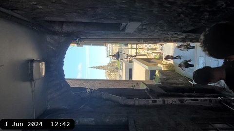 20240603_124216.jpg