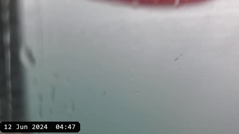 20240612_094722.mp4