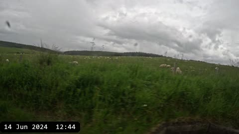 GX010480.MP4