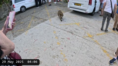 GX010101.MP4